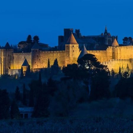 Апартаменты Le Panoramique - Sublime Vue Sur La Cite Каркассон Экстерьер фото